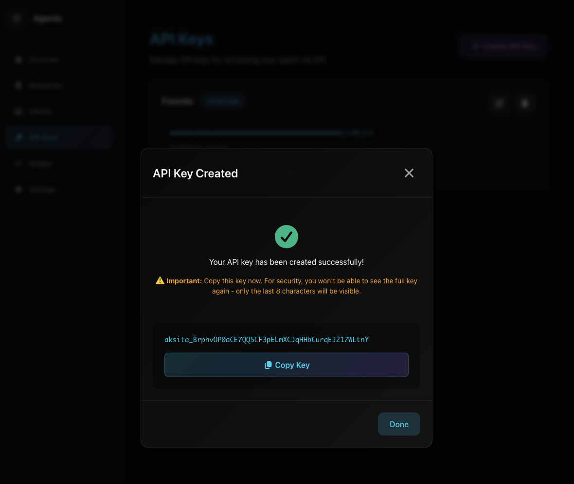 API Key Berhasil Dibuat